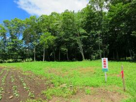 長野県諏訪郡富士見町立沢