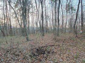 山梨県北杜市長坂町中丸