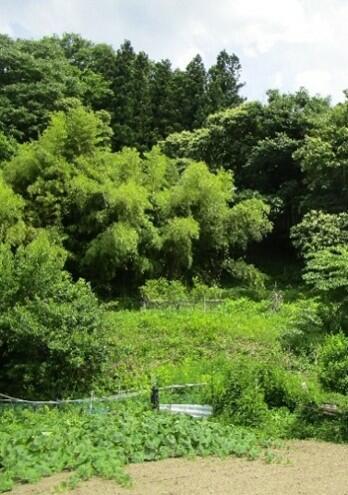 detached 長野県小県郡青木村大字沓掛