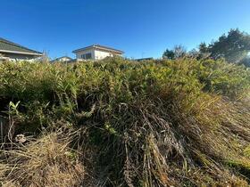 和歌山県和歌山市上野