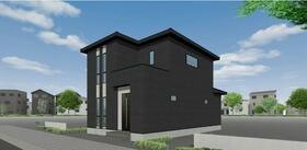 兵庫県丹波篠山市杉