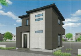 兵庫県丹波篠山市杉