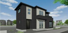 兵庫県丹波篠山市杉