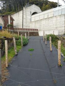 長崎県諫早市本明町