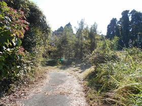 鹿児島県南さつま市金峰町尾下