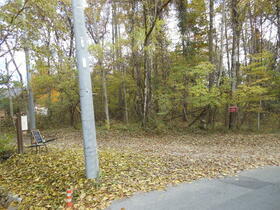 山梨県北杜市大泉町谷戸