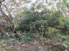 滋賀県大津市北比良