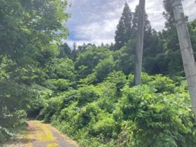 新潟県十日町市高倉戊