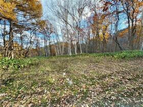 北海道札幌市南区小金湯