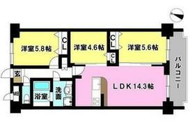 愛媛県松山市紅葉町