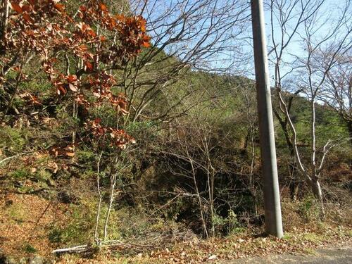 detached 埼玉県飯能市大字南