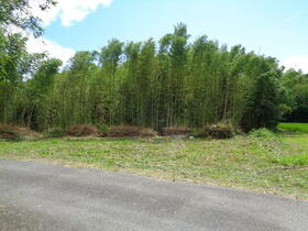 千葉県いすみ市岬町中原