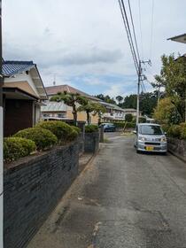 神奈川県南足柄市向田