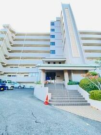 ブロッサム高峰