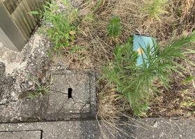 富山県中新川郡上市町上法音寺