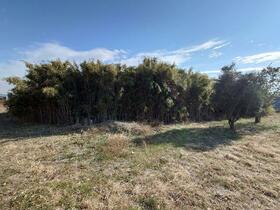 群馬県伊勢崎市間野谷町