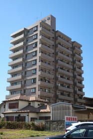 グランデージュ桜