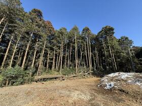 茨城県石岡市東大橋