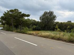 沖縄県宮古島市伊良部字国仲