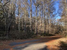 長野県下伊那郡平谷村−