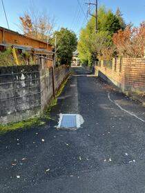 神奈川県小田原市曽我大沢