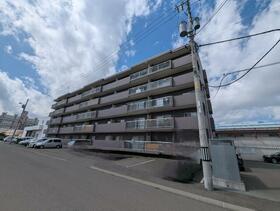 エメラルドグリーン白石中央