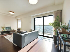 ザ・タワー十条