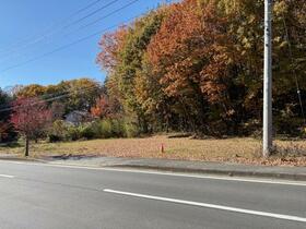 山梨県北杜市大泉町西井出