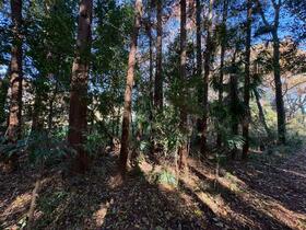 茨城県筑西市中根