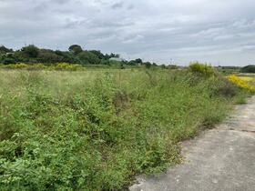 愛知県知多郡東浦町大字藤江字西黒根