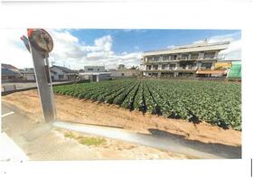 愛知県豊橋市大清水町字大清水