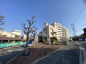 少女の赤い帽子泉北深井