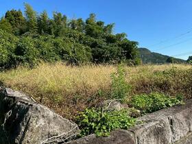 鹿児島県薩摩川内市高江町