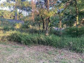 熊本県阿蘇郡南阿蘇村大字久石