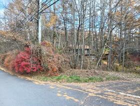 長野県北佐久郡軽井沢町大字長倉