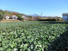 群馬県渋川市北橘町箱田