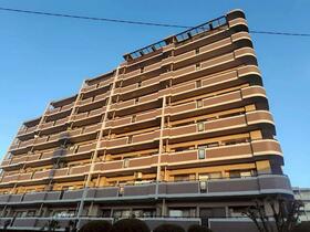 アムール板付７