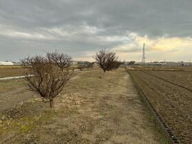 三重県桑名郡木曽岬町大字和泉