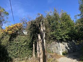 熊本県熊本市西区上代１丁目