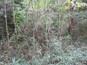 三重県津市白山町八対野