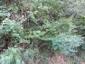 三重県津市白山町八対野