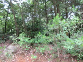 三重県津市白山町山田野