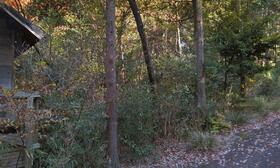 三重県津市白山町山田野