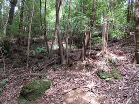 三重県津市白山町山田野