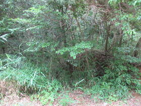 三重県津市白山町山田野