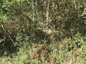 京都府木津川市加茂町兎並北山