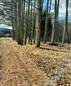 長野県諏訪郡原村上里