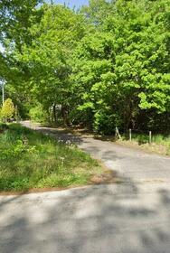 栃木県那須塩原市接骨木