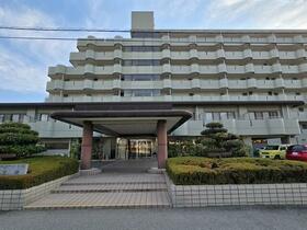 アルカディア石和