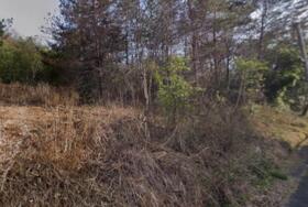 京都府船井郡京丹波町中台大沢